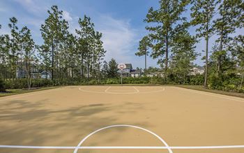 basketball court